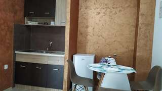 Апартаменты Apartmani Vučinić Цетине Апартаменты с 1 спальней-13